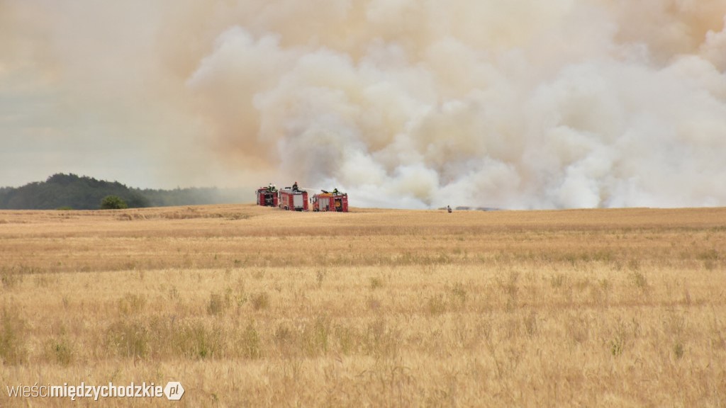 Wieści Międzychodzkie/Marcin Handzel