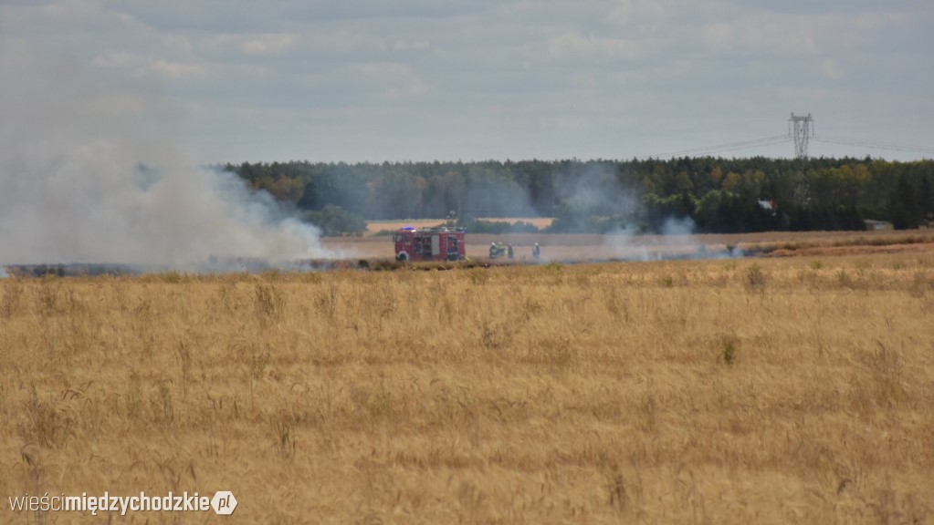 Wieści Międzychodzkie/Marcin Handzel