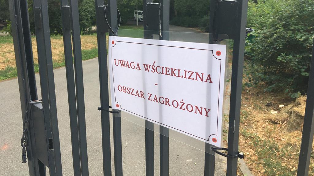 wścieklizna obszar zagrożony park willsona - Adam Michalkiewicz