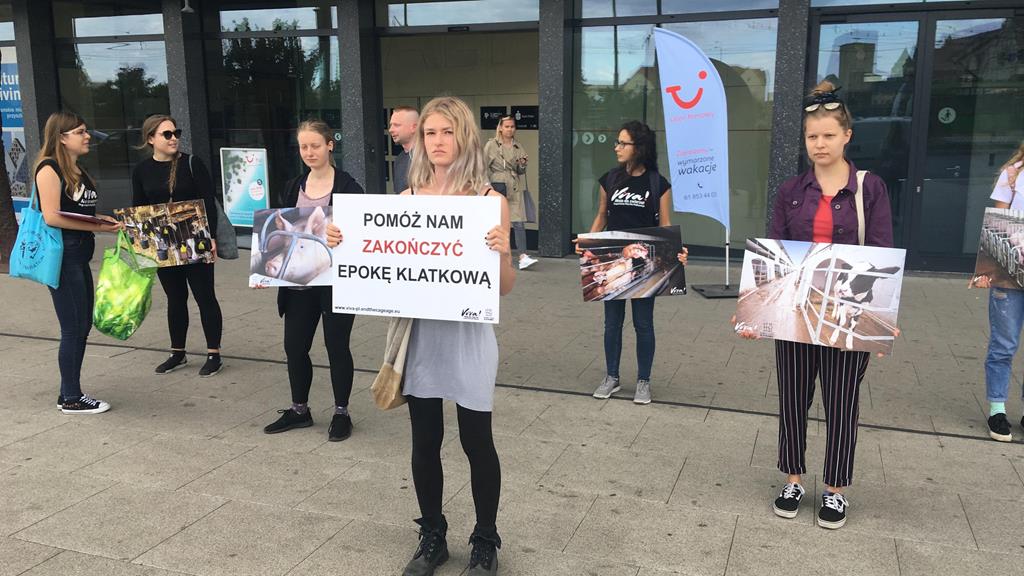 Viva przeciw hodowaniu w klatkach - Jacek Butlewski