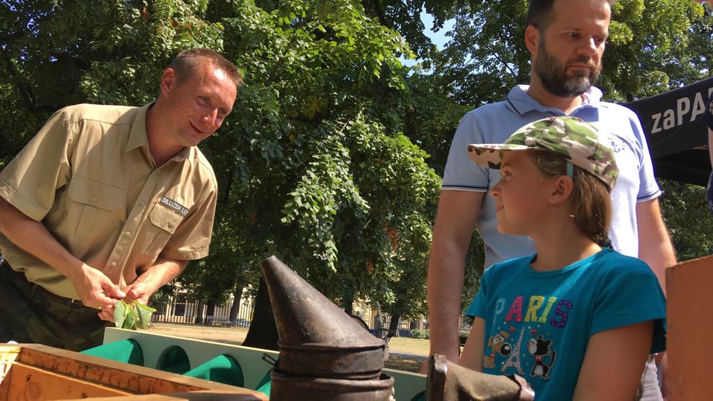 pszczela niedziela pszczelarz bartnik pszczoły - Michał Jędrkowiak