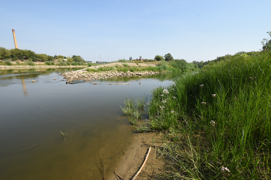 Cybina upał - Wojtek Wardejn