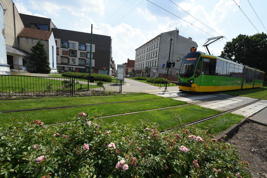 małe garbary - Wojtek Wardejn