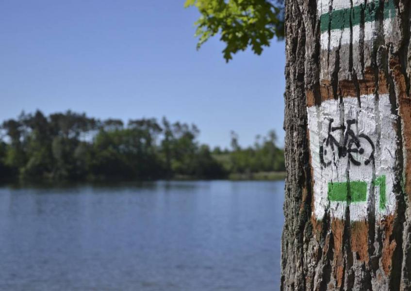 szlak rowerowy gniezno - www.tupowstalapolska.pl