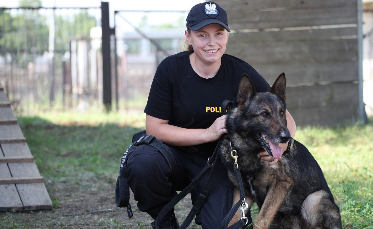pies policja - Policja