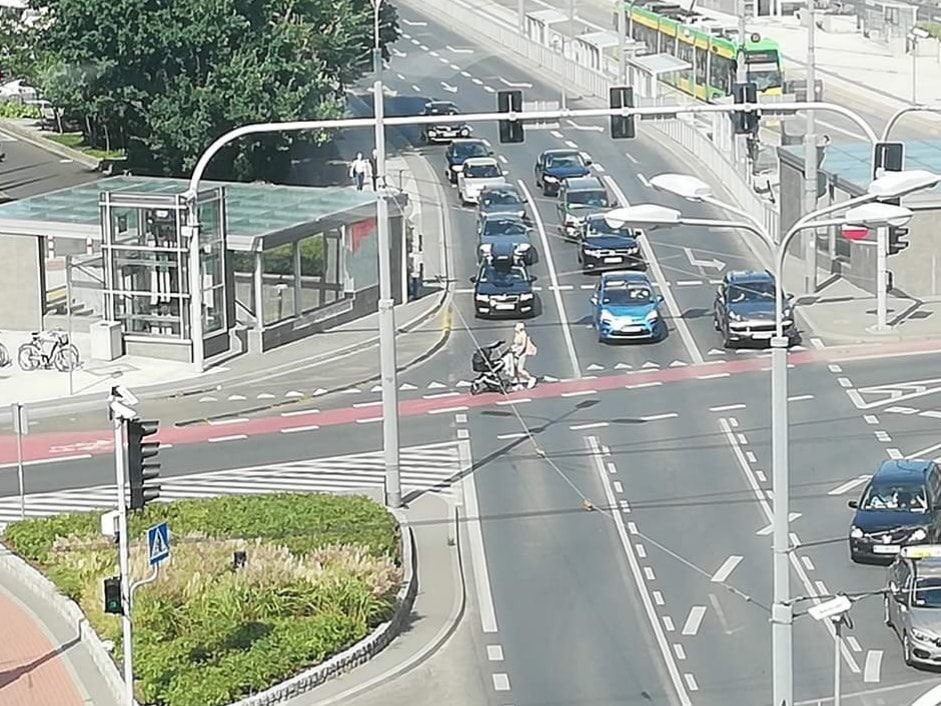 kaponiera kobieta z wózkiem - Adam Bysiek - Twitter