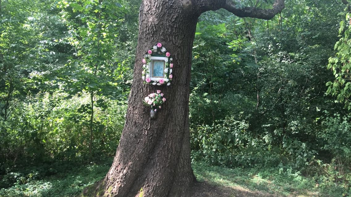 przydrożna kapliczka kalisz - Danuta Synkiewicz