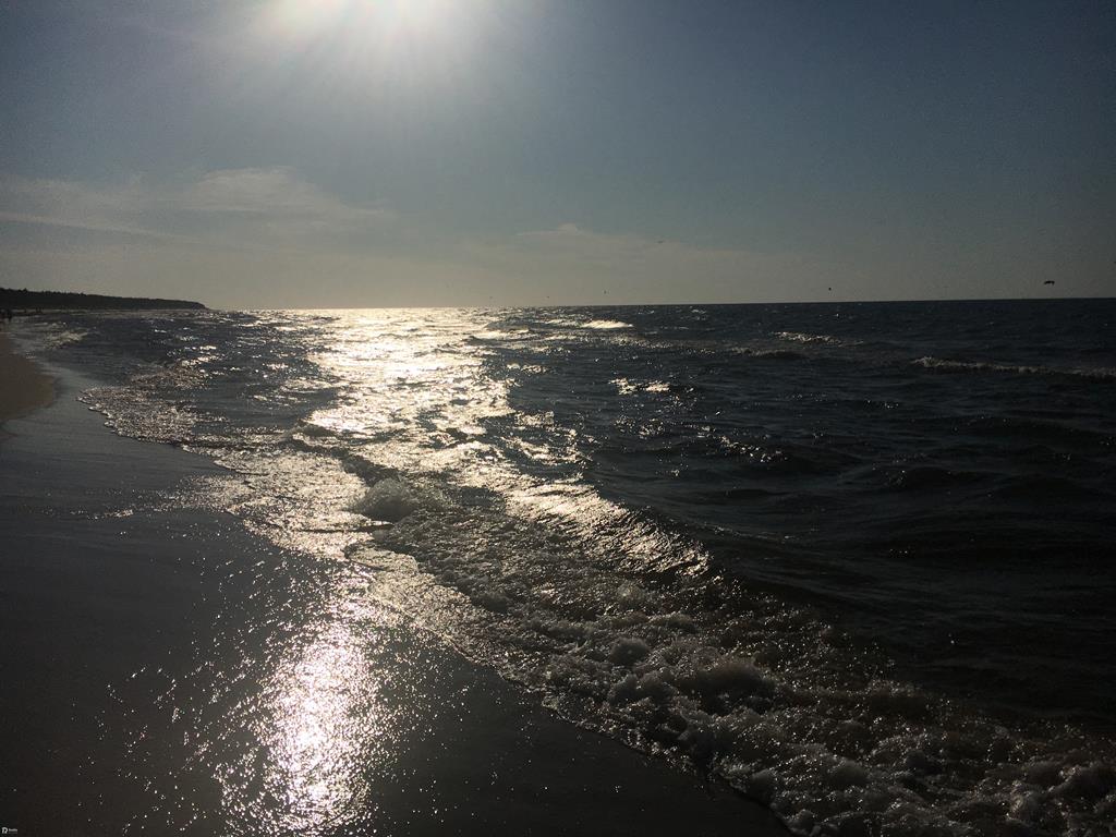 morze - Wojtek Wardejn