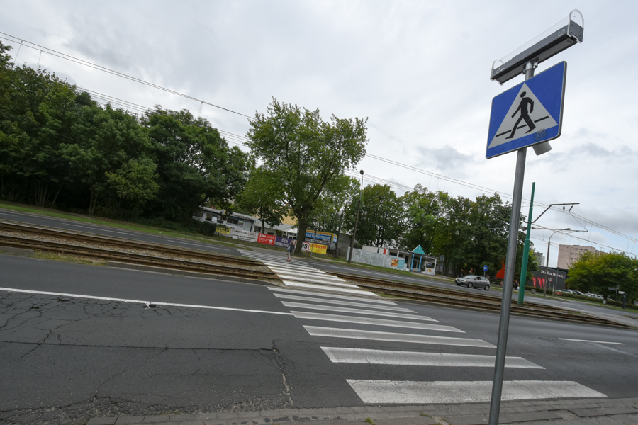 Wojtek Wardejn/ul. Grunwaldzka/Marszałkowska