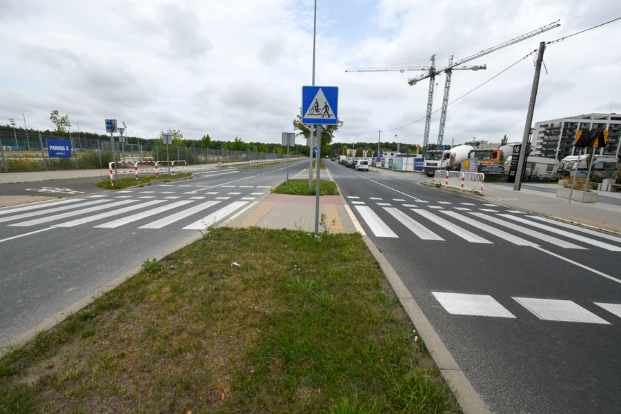 Wojtek Wardejn/ul. Ptasia