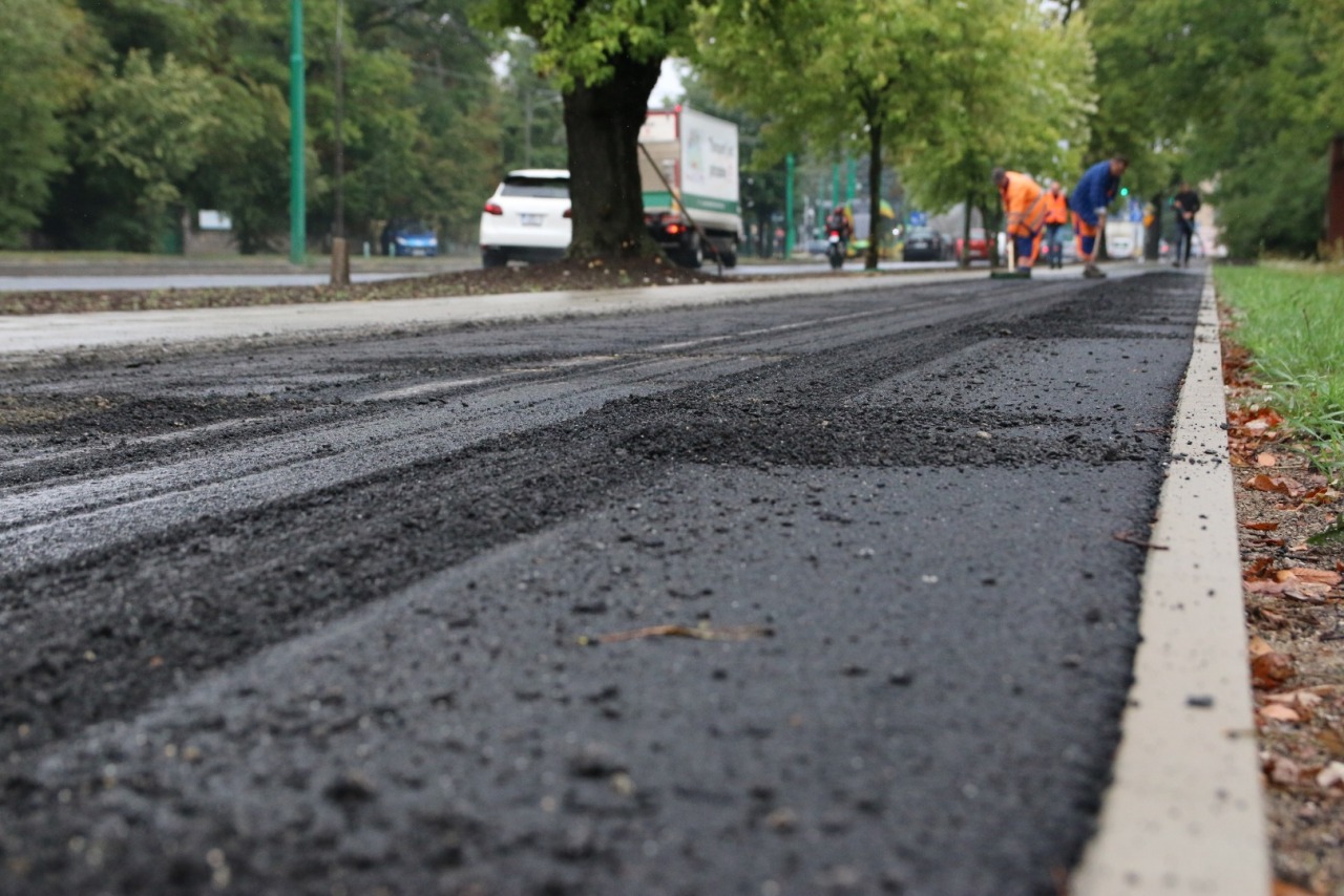 ścieżka rowerowa grunwald fale grunwaldu - Kacper Witt