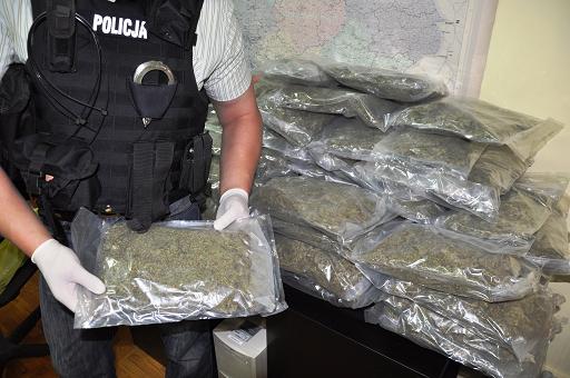 marihuana policja - Wielkopolska Policja
