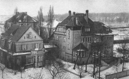 szkoła urszulanek  -  www.urszulanki.poznan.pl