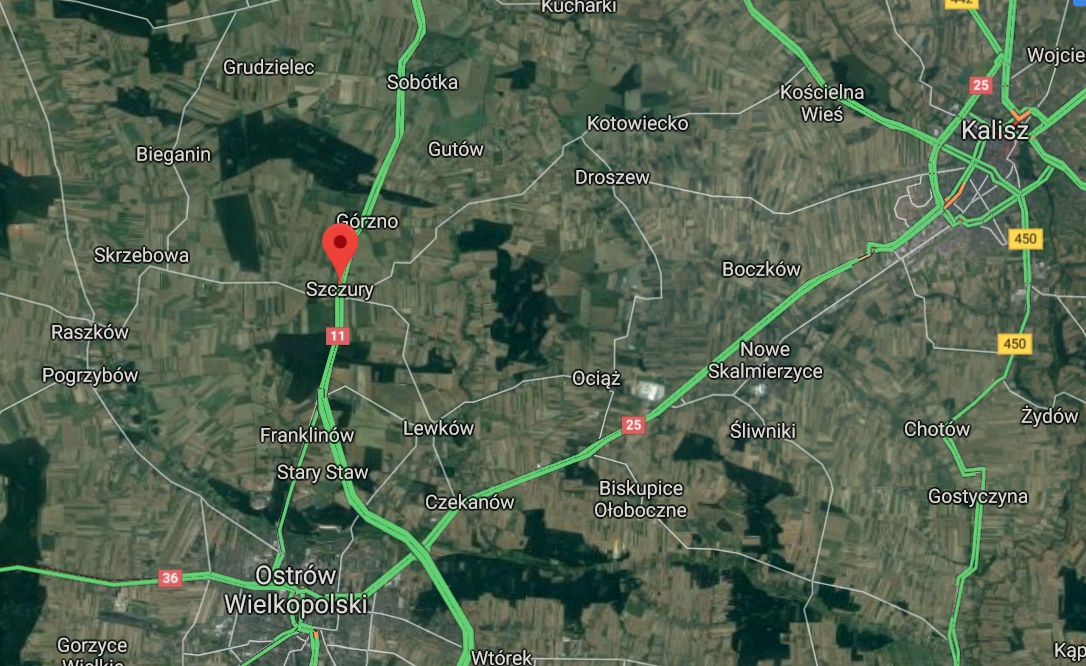 Szczury mapa - Mapy Google