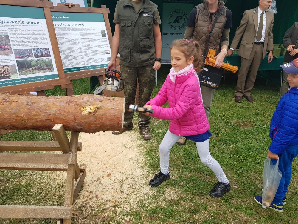 festyn leśny - Hubert Jach