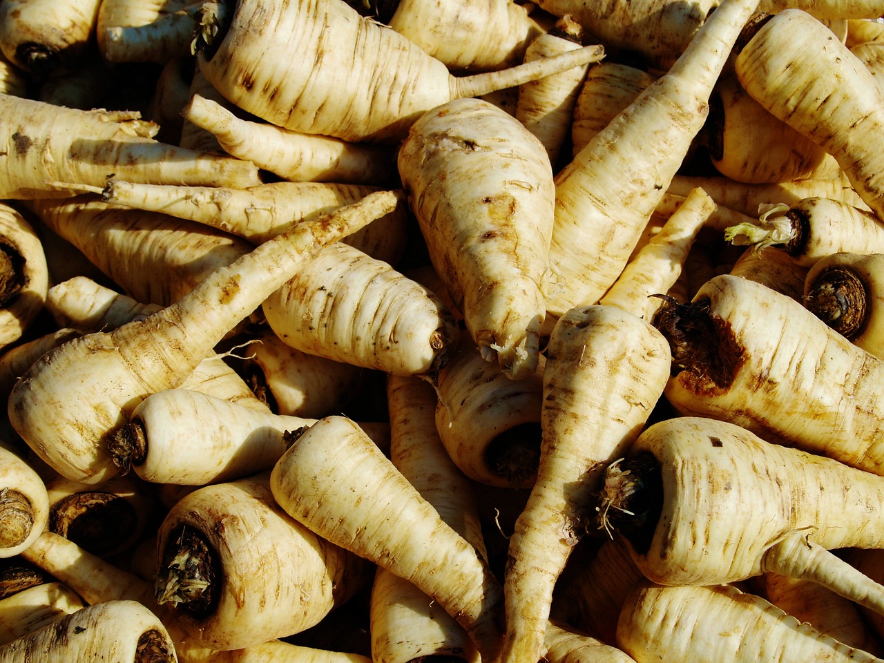 pietruszka - pixabay