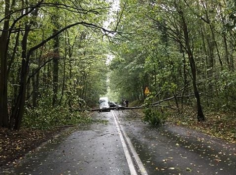 wichura połamane gałęzie - MotoSygnały/Tadeusz
