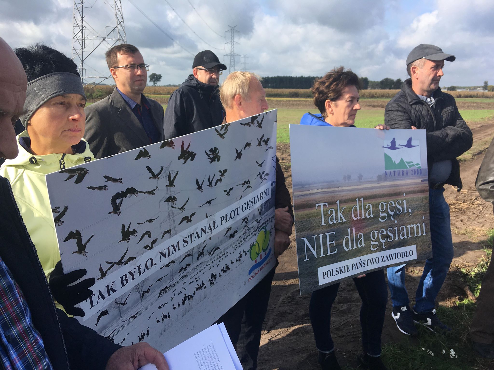 janków przygodzki ferma gęsi protest - Danuta Synkiewicz