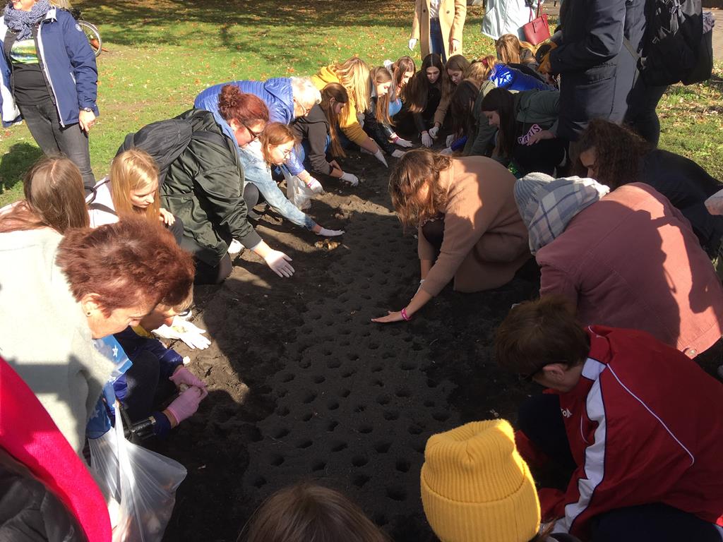 pole nadziei leszno żonkile amazonki - Jacek Marciniak