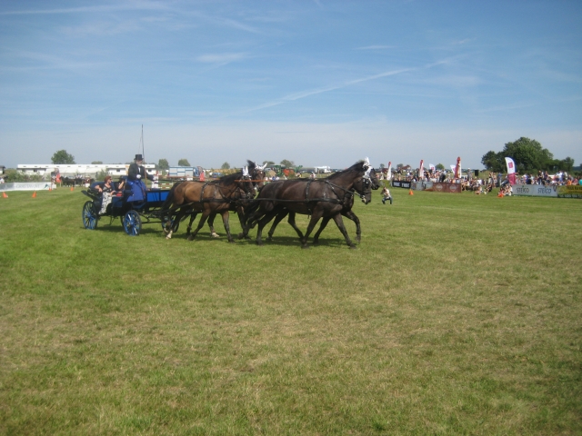 baborówko - Jacek Butlewski