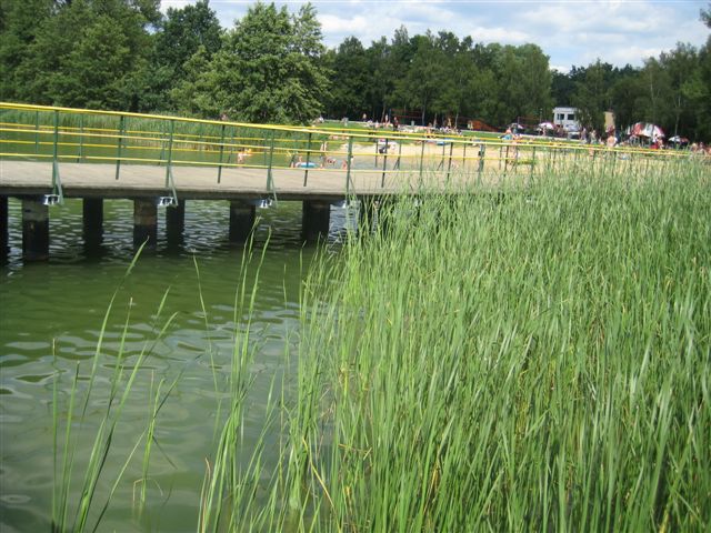 Jezioro Strzeszyńskie - kąpiele - Wojciech Chmielewski