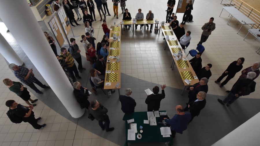 multiszachy - Wojciech Wardejn