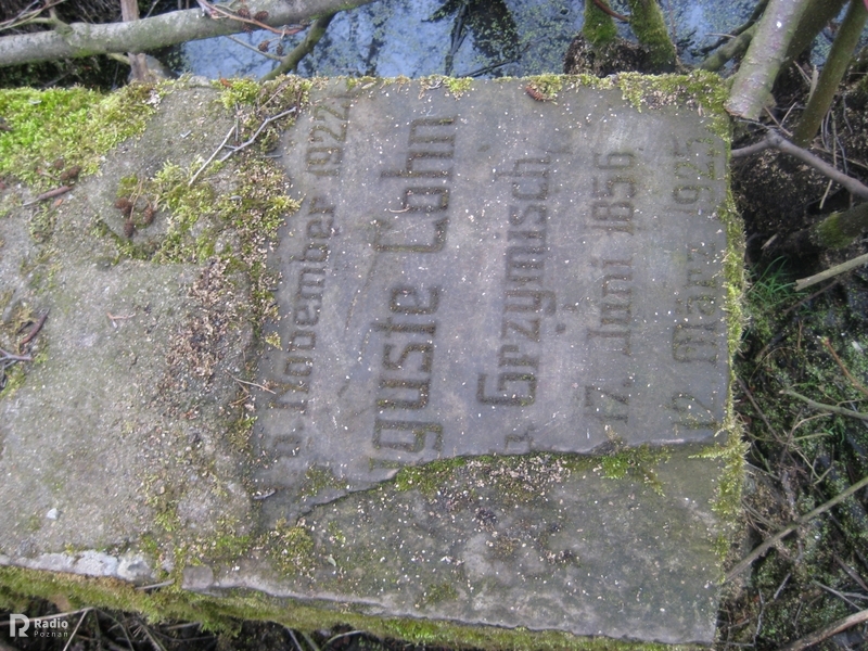 macewy nad rusałką  - Archiwum