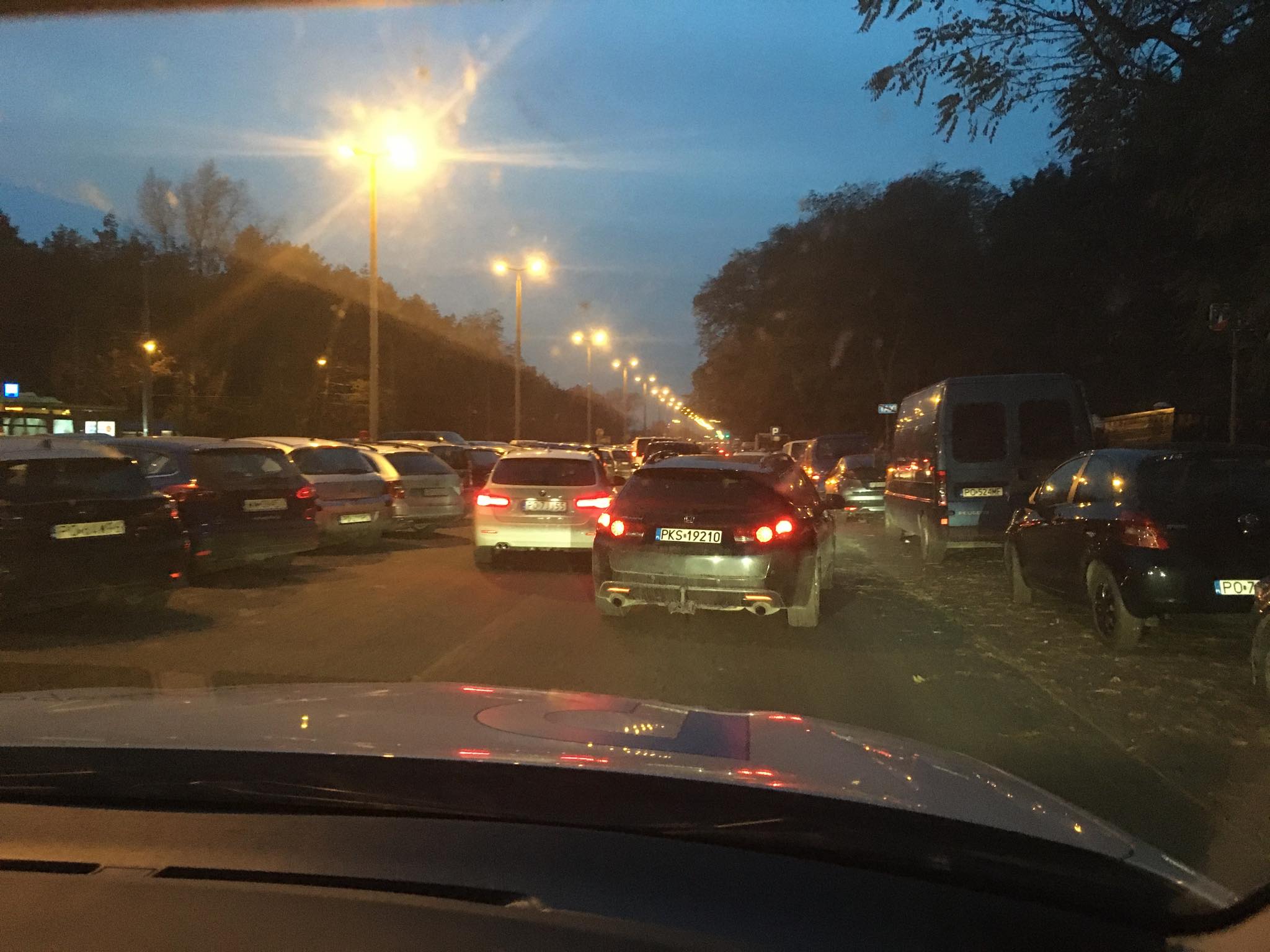 Maciej Krzywoszyński