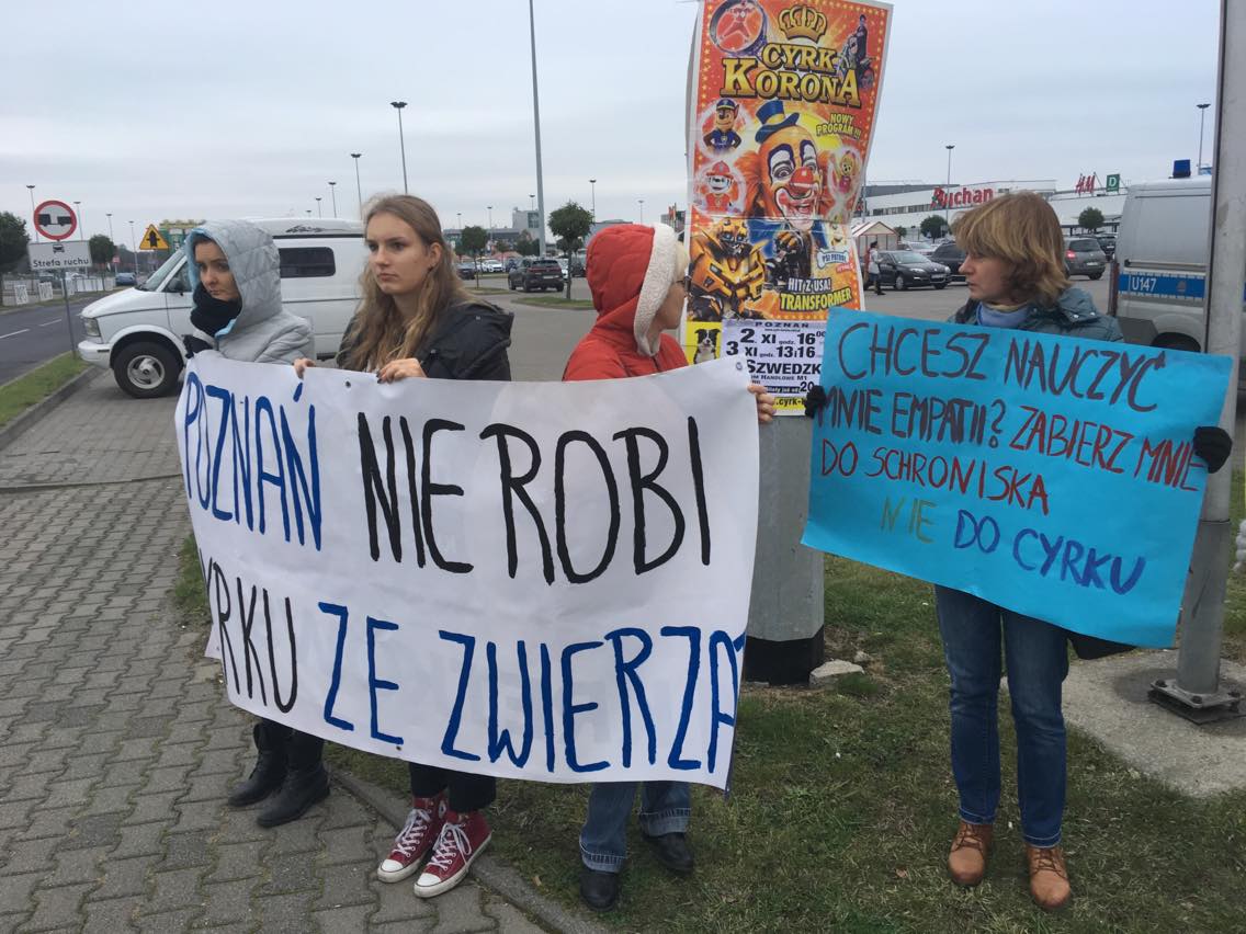 cyrk protest - Piotr Jaśkowiak