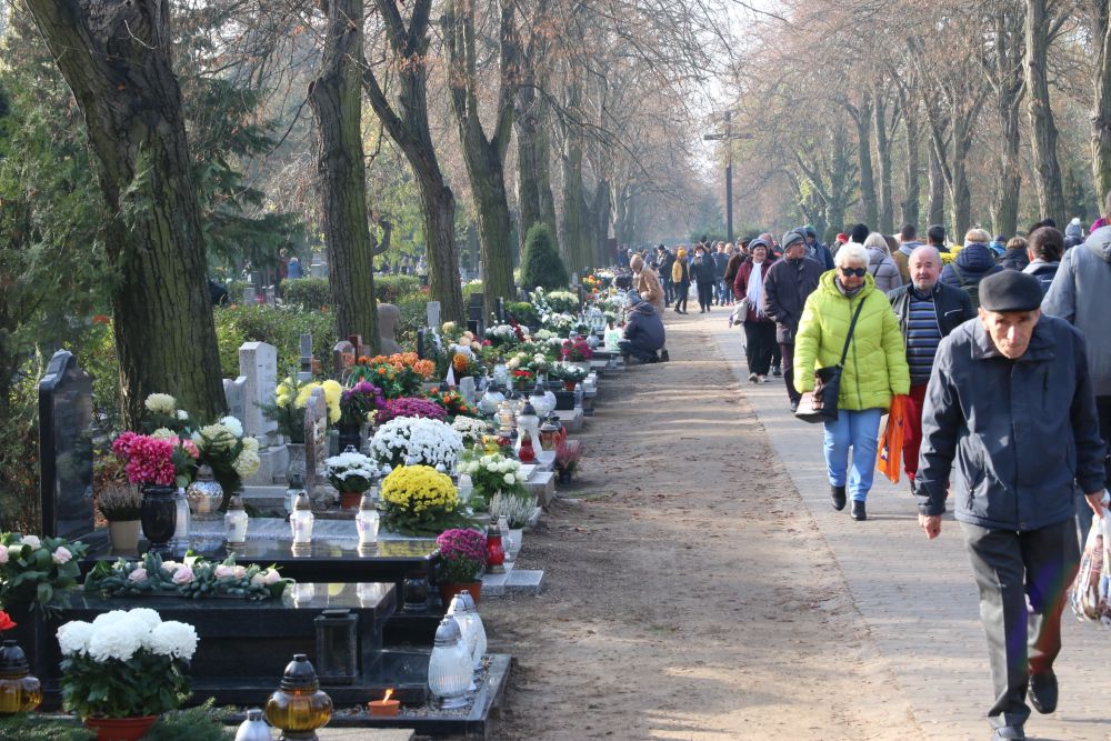 cmentarze wszystkich świętych górczyn - Leon Bielewicz