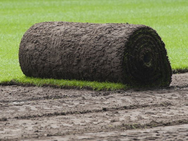 Wymiana murawy na stadionie Lecha - Przemek Modliński