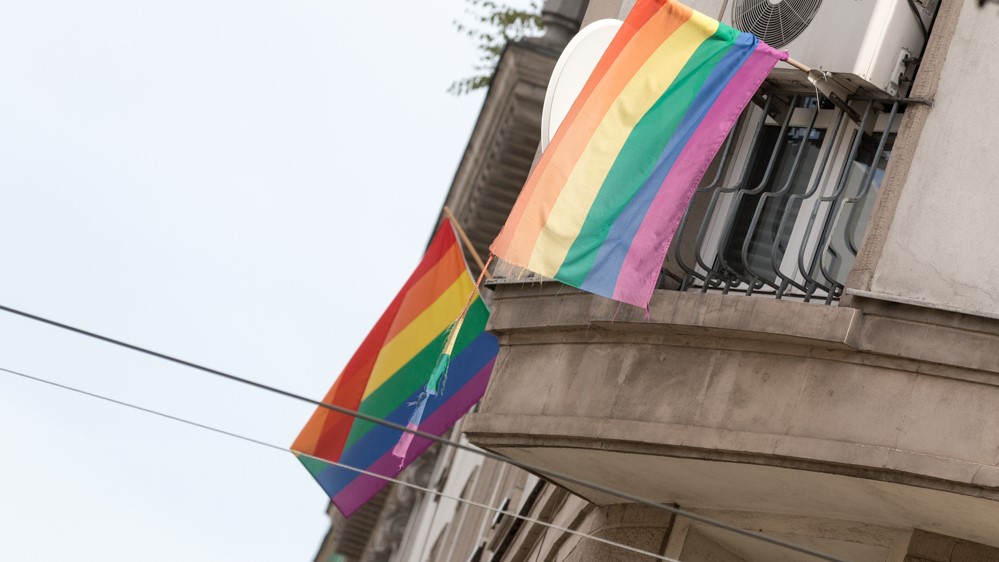 flagi tęczowe lgbt - Wojtek Wardejn