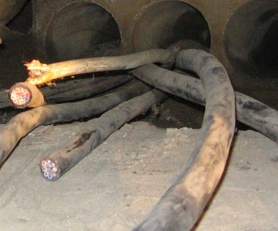 Kable z Kaponiery - ZDM