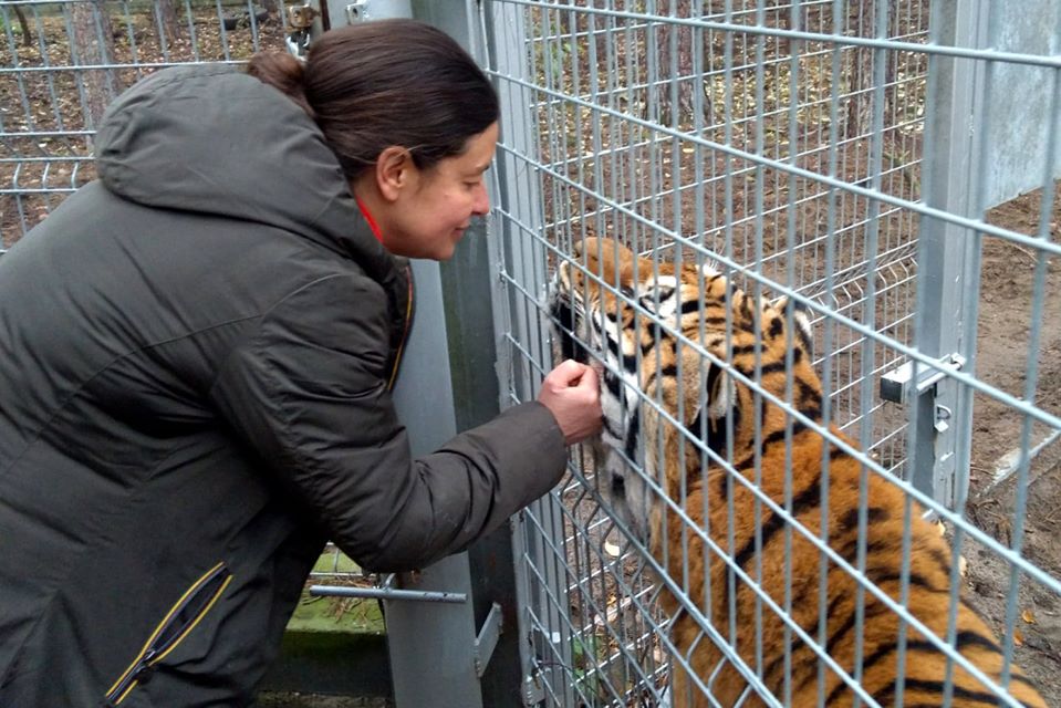 Tygrysy ZOO -  Zoo Poznań Official Site