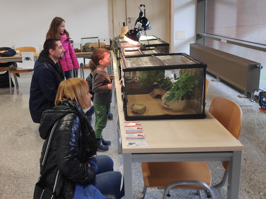 piła pilska młodzież wystawa - Przemysław Stochaj - Radio Poznań