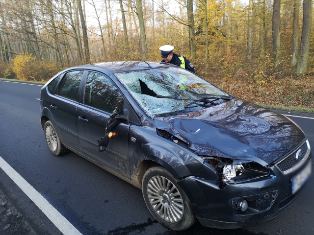 Leszczyńska Policja