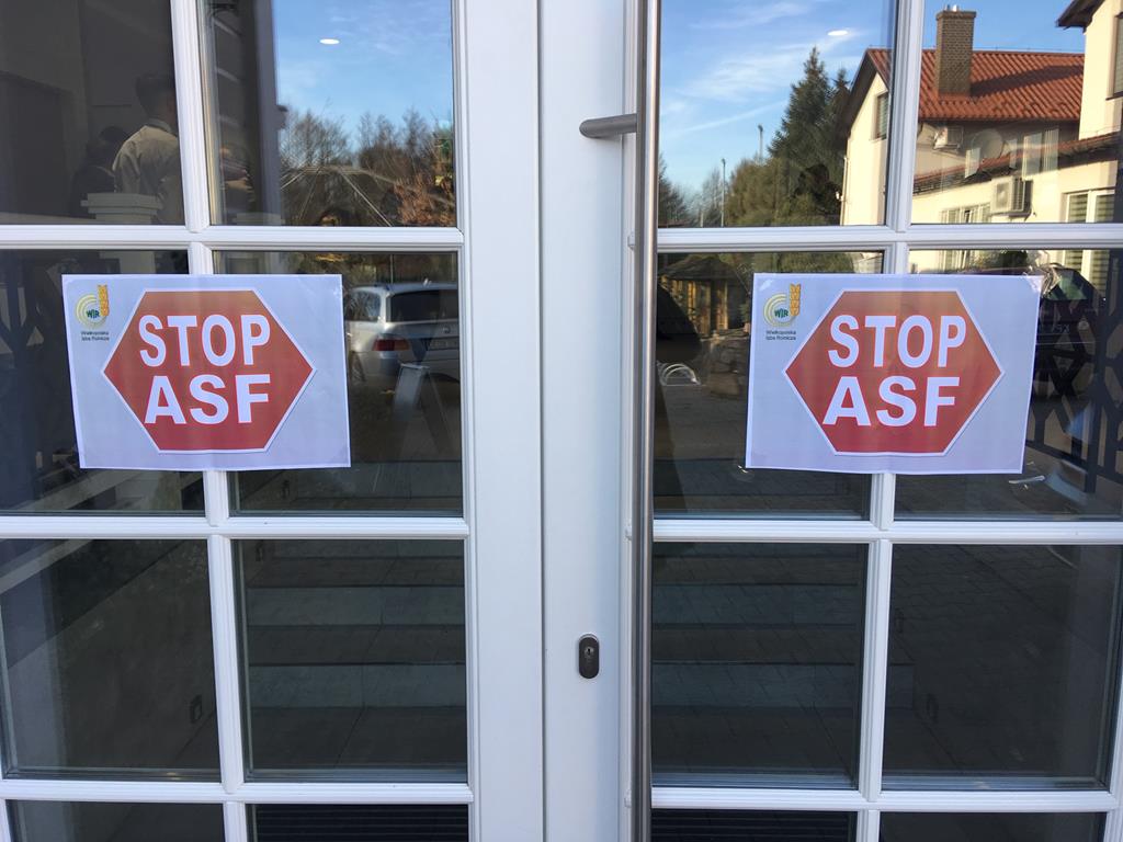 stop asf - Jacek Marciniak