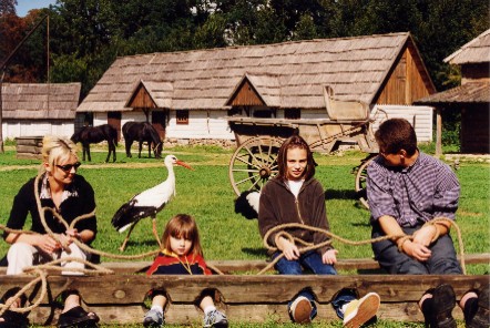 Soplicowo - gmina Krzywiń