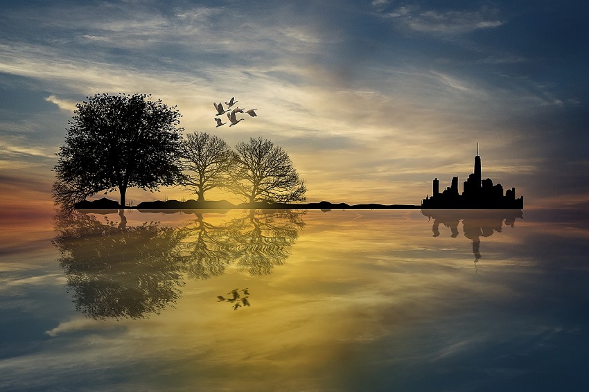 75534250_443540759893963_1216188150993387520_o - Materiały prasowe