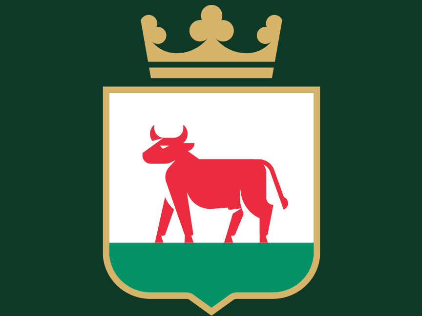 nowe logo trzcianka - Miasto i Gmina Trzcianka