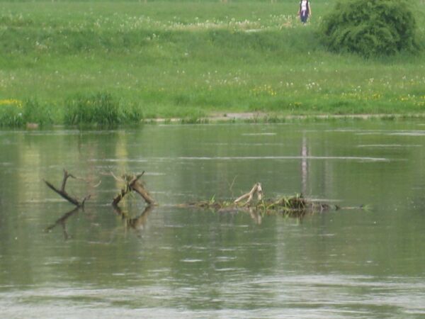 Warta wylała - Wojciech Chmielewski