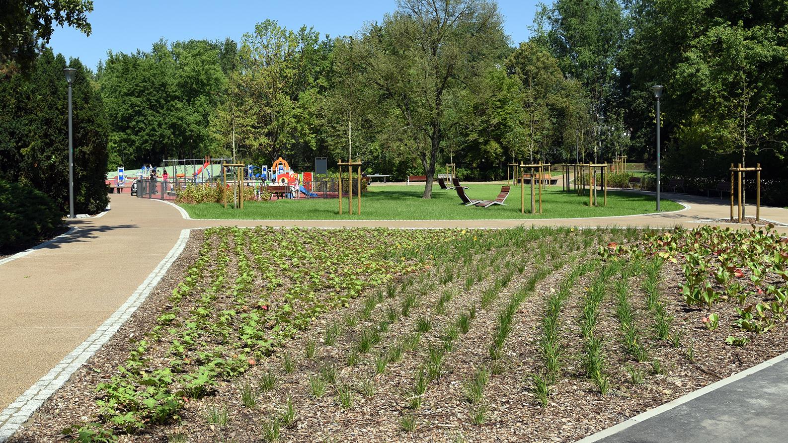 park wodiczki  - UMP