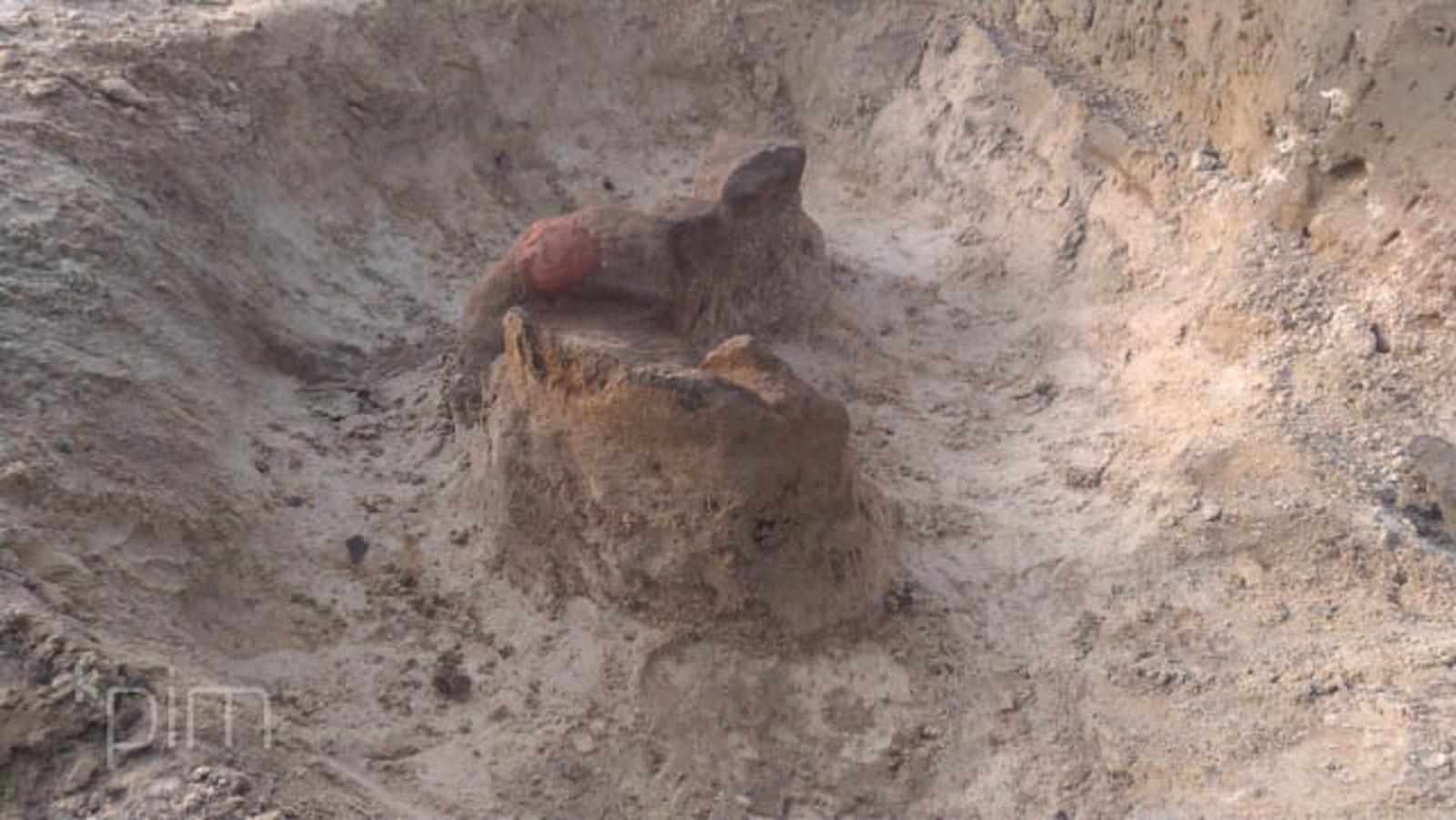 tramwaj na naramowice osada - PIM