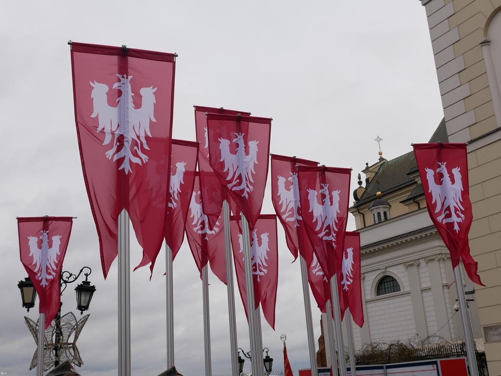 flagi powstanie wielkopolskie - Kacper Witt