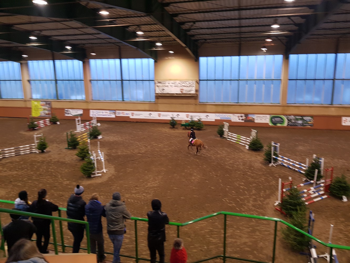 hipodrom wola zawody - Grzegorz Hałasik