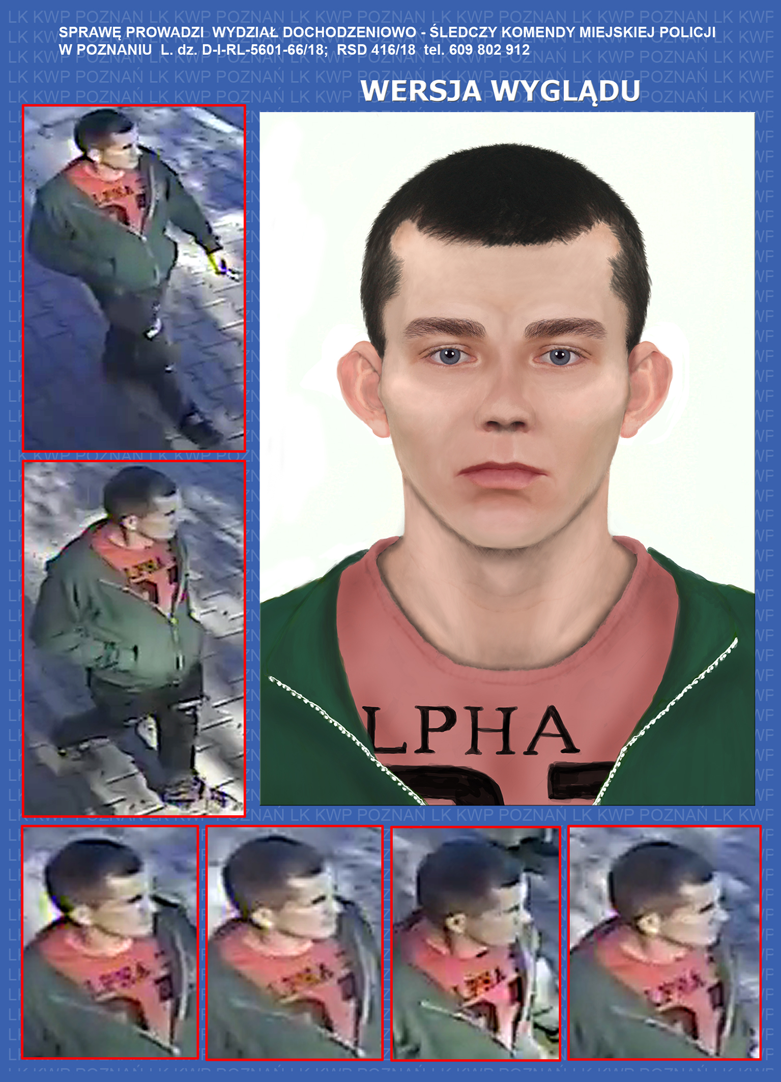 Wielkopolska Policja