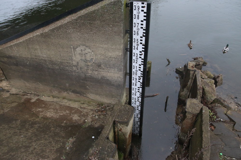 warta - Leon Bielewicz