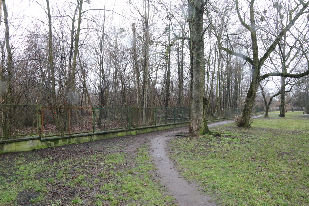 pływalnia łazarz park kasprowicza basen - Leon Bielewicz