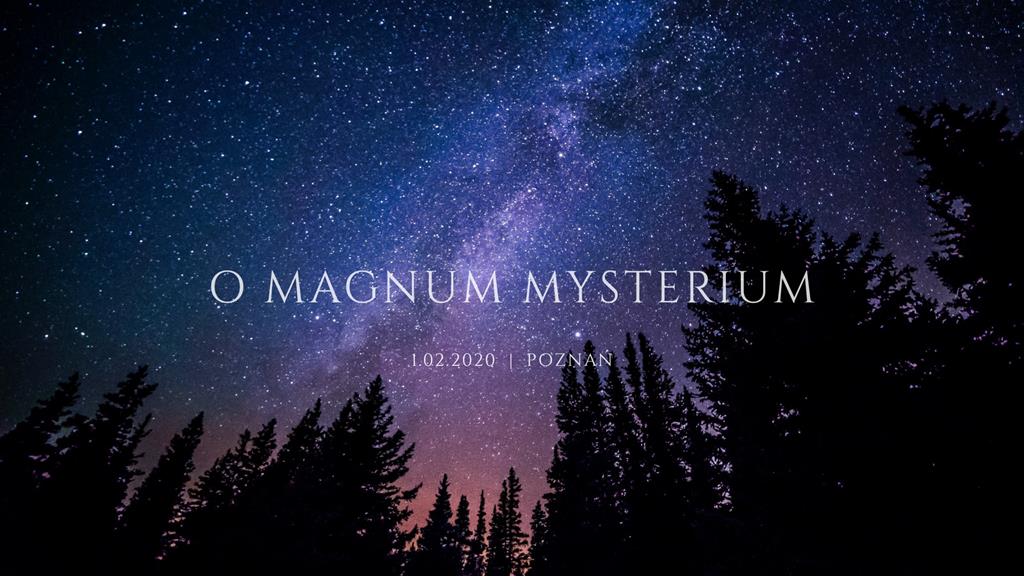 kolędowanie chór kameralny  - Materiały prasowe 