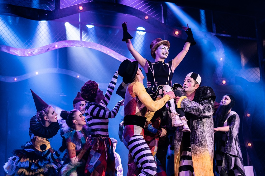 Pippin, fot. M. Kordula - M. Kordula